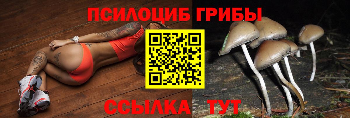 ГАШ Норильск
